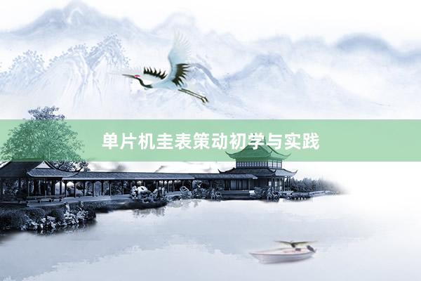 单片机圭表策动初学与实践