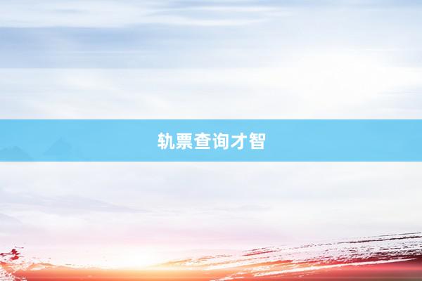 轨票查询才智