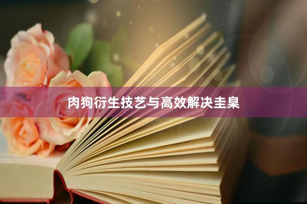 肉狗衍生技艺与高效解决圭臬