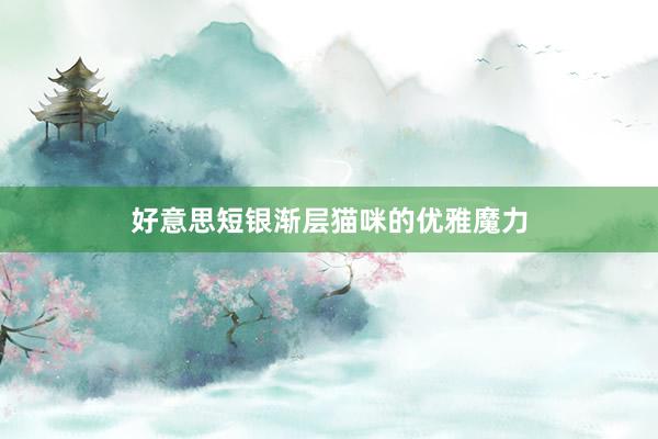 好意思短银渐层猫咪的优雅魔力